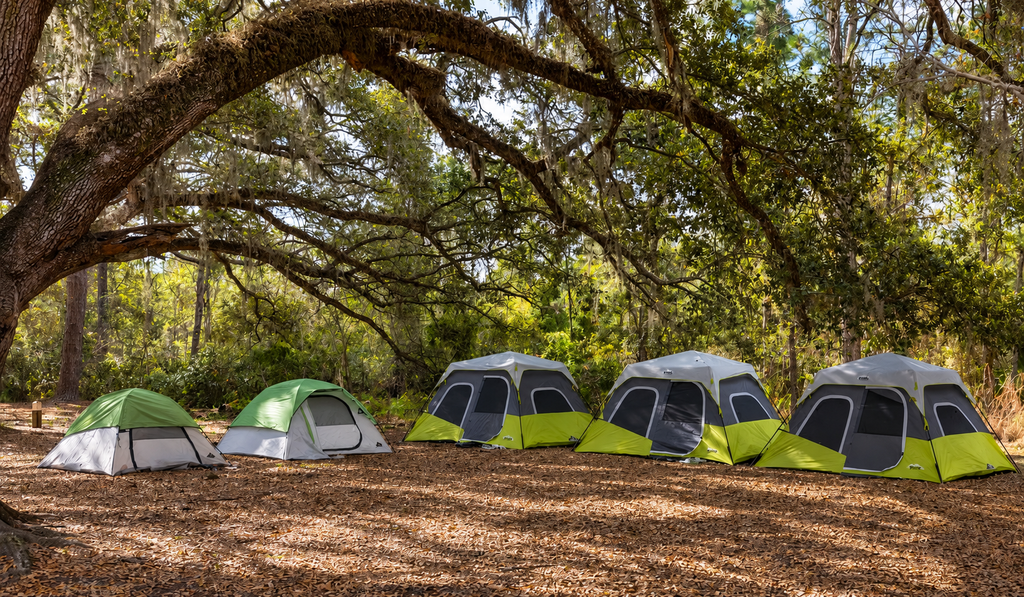 A peaceful campsite with tents set among trees near a forest